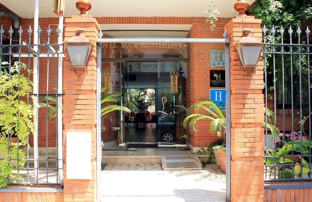 AACR Hotel Monteolivos-1